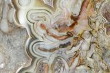 Polished Crazy Lace Agate - Mexico #180551-1